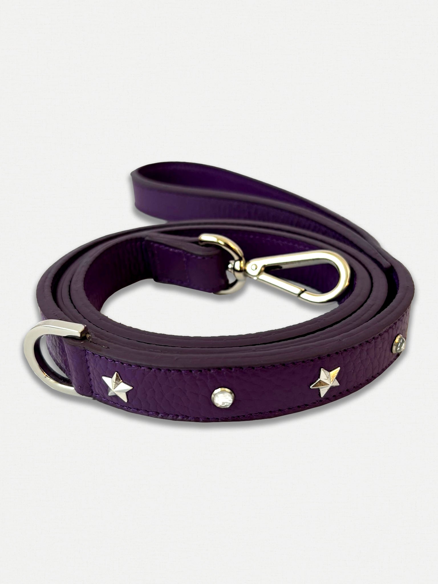 Guinzaglio per cani Viola con borchie
