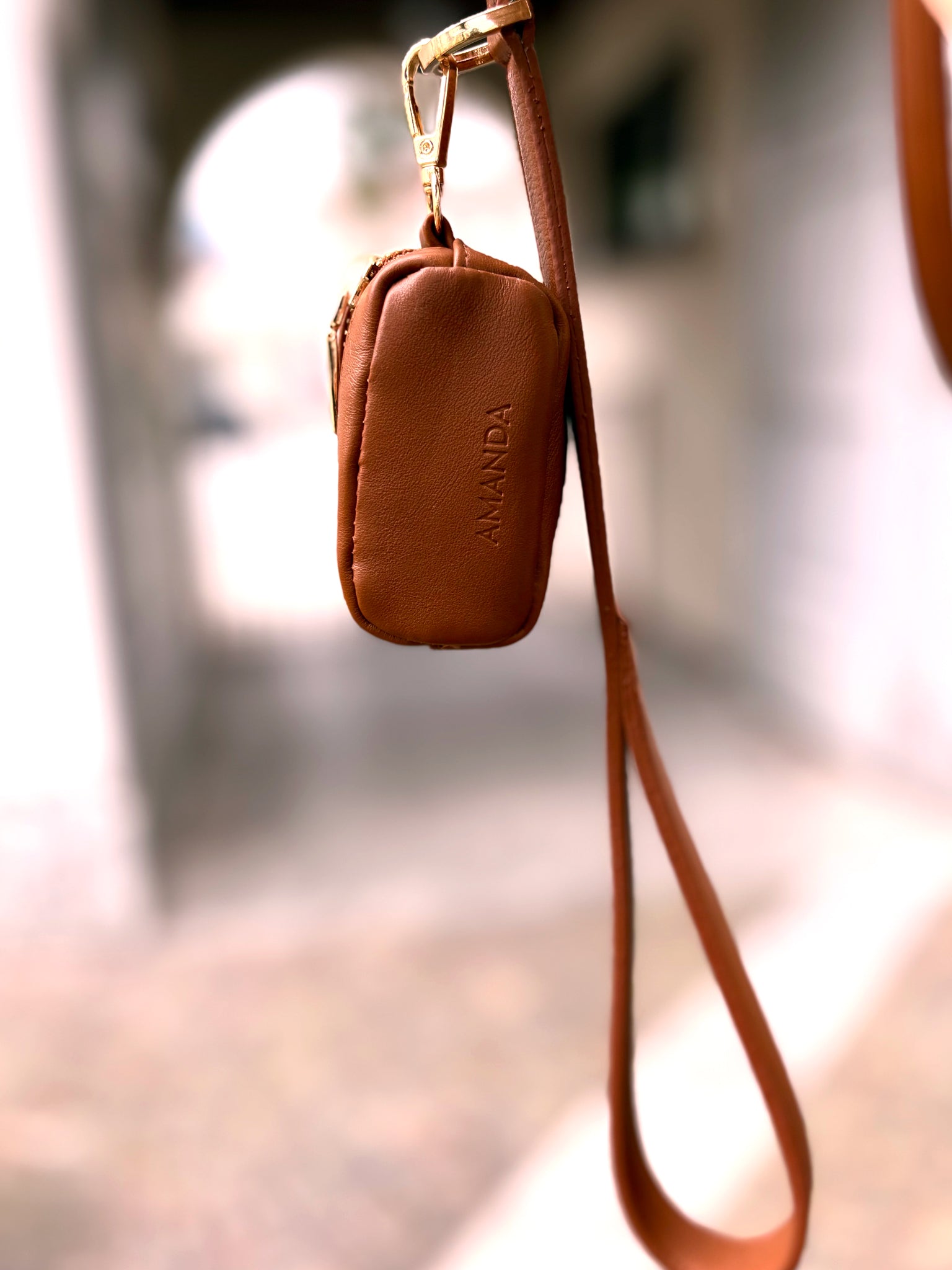 Set Collare, Guizaglio e Poop Bag Marrone chiaro