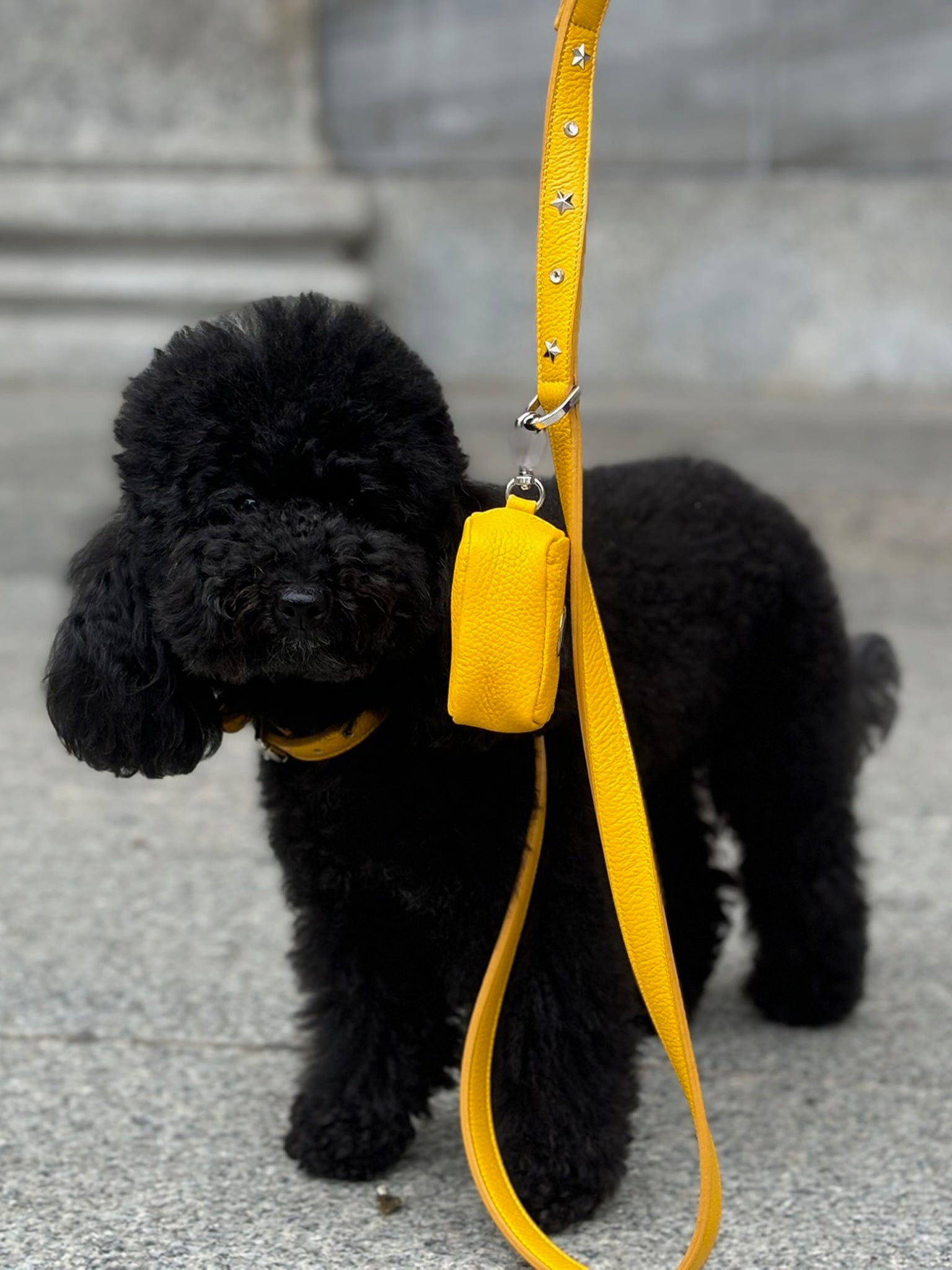 Poop Bag Giallo